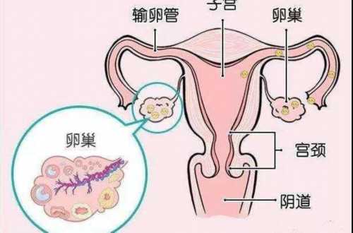 广州大学广州医院生殖医学中心介绍,广州市妇幼试管婴儿详细介绍并总结