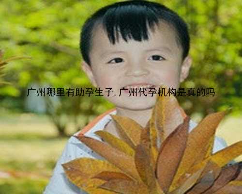 广州代生儿子医生咨询|0T46M_4PGo7_女儿突发白血病，离婚父母违背伦理，为脐带