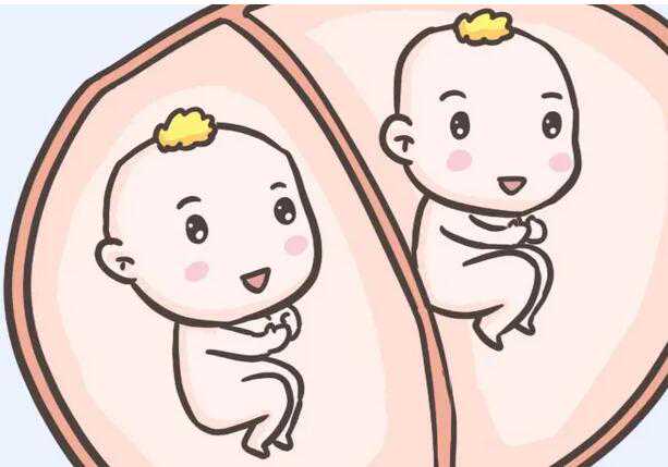 佛山供卵机构排名 广东佛山做三代试管婴儿费用大概要多少钱 ‘四个月b超如何