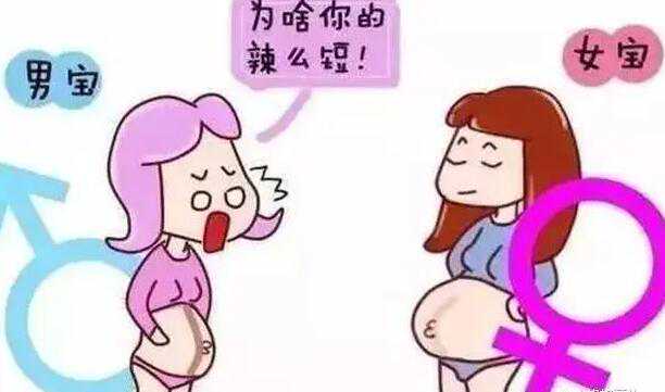 广州助孕机构有吗 广州供卵机构那么多靠谱吗？怎么预防广州供卵机构的套路